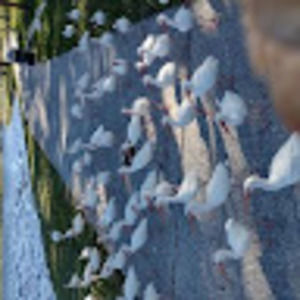 Meet your Posher, Mar